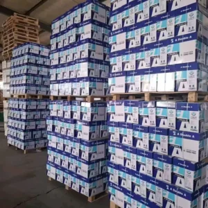 Carton Box & Reams